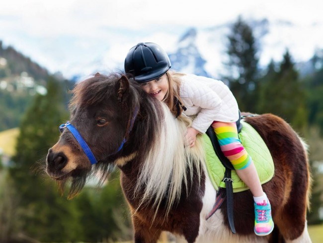 Reiten für Kinder und Erwachsene © Shutterstock